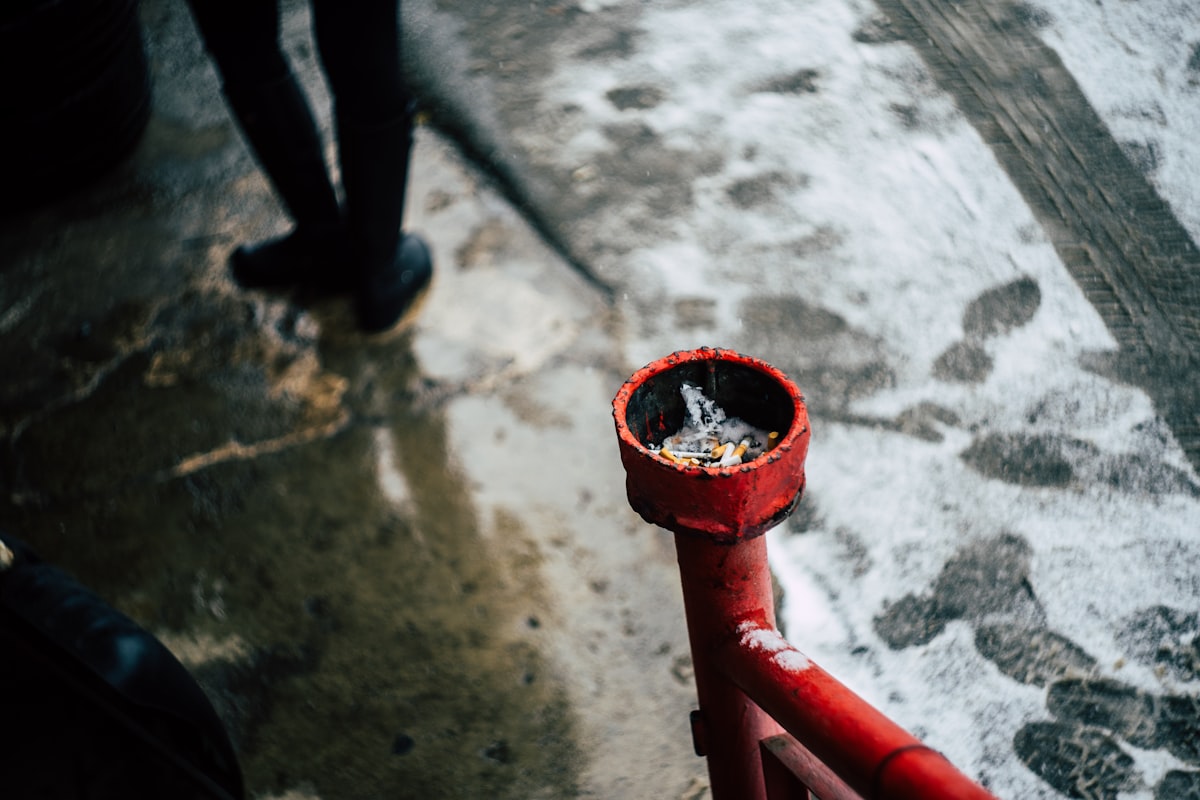 Why Early Leak Detection Can Save You Thousands in Repairs