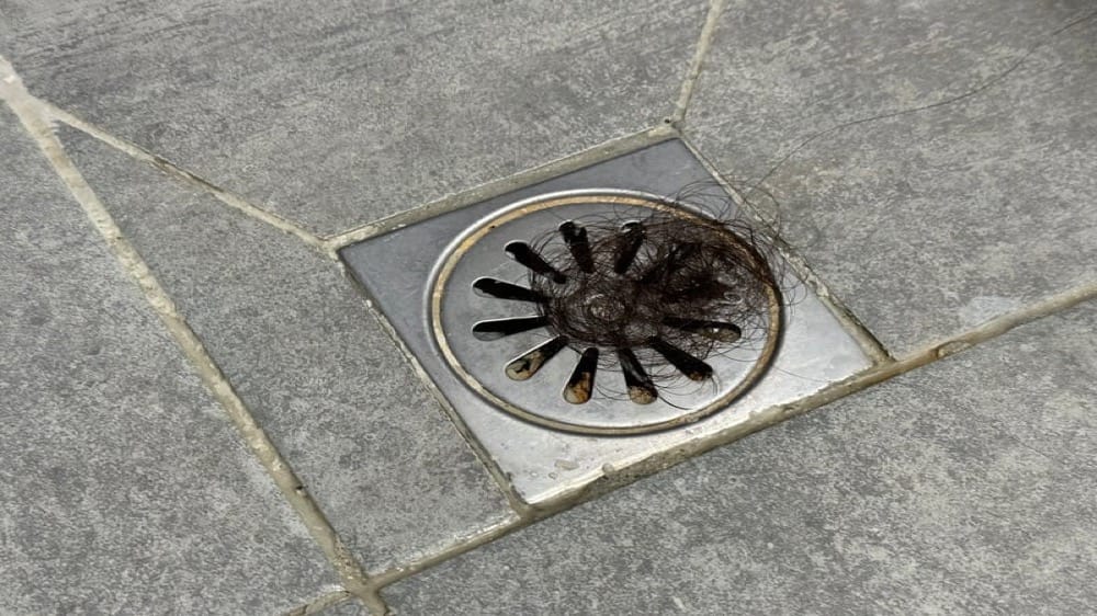 Sewer Smell in the House in Orem: Dry Traps, Wax Rings and Vents